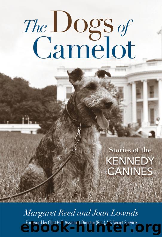 The Dogs of Camelot by Margaret Reed & Joan Lownds