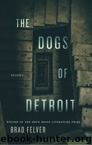 The Dogs of Detroit by Brad Felver