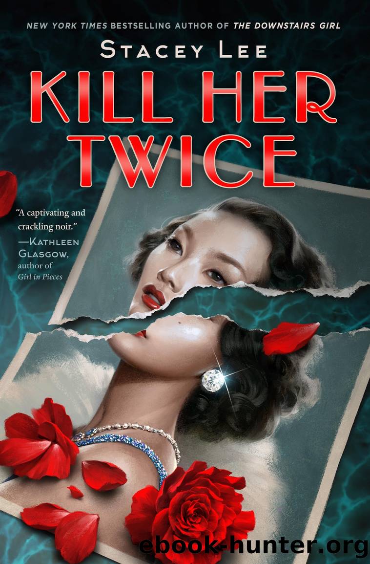 The Doll Twin by Janine Beacham