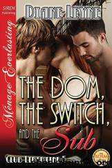 The Dom the Switch and the Sub by Diane Leyne