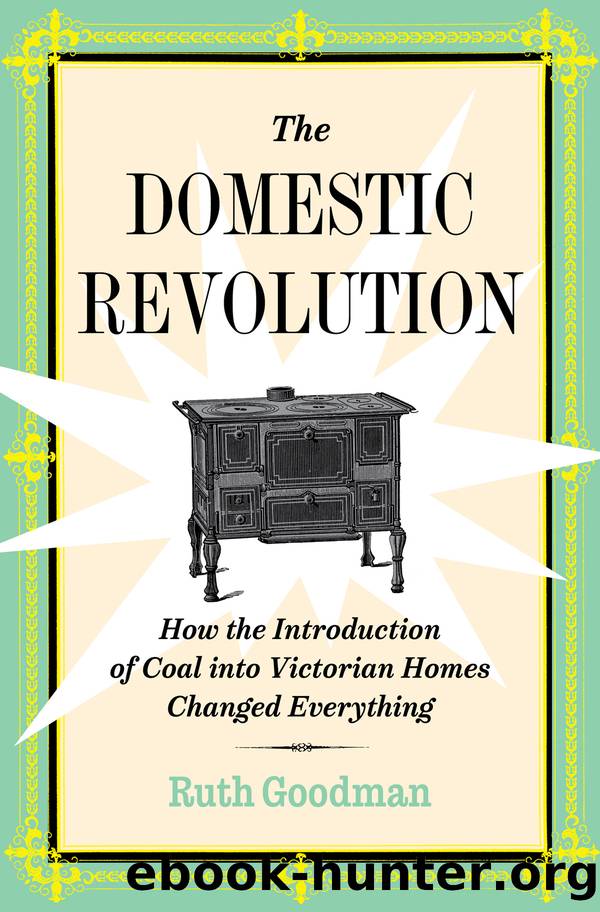 The Domestic Revolution by Ruth Goodman