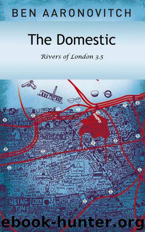 The Domestic by Ben Aaronovitch