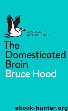 The Domesticated Brain: A Pelican Introduction (Pelican Books) by Bruce Hood
