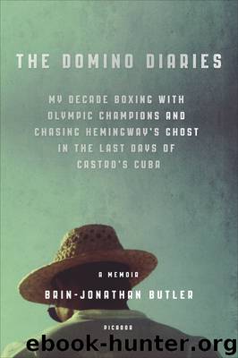 The Domino Diaries by Brin-Jonathan Butler