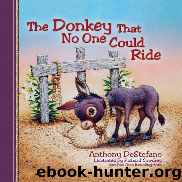 The Donkey That No One Could Ride by Anthony DeStefano