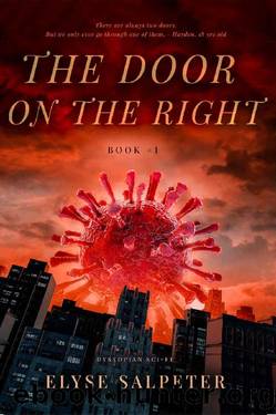 The Door on the Right: Book #1 by Elyse Salpeter