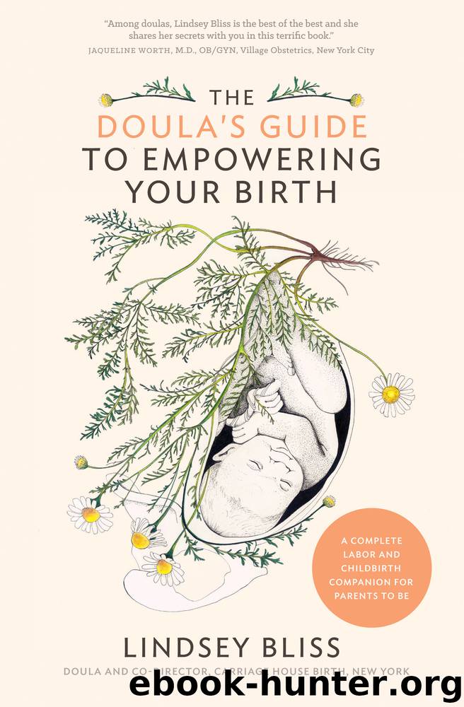 The Doula's Guide to Empowering Your Birth by Lindsey Bliss