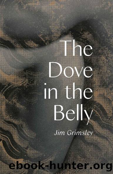 The Dove in the Belly by Jim Grimsley