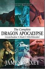The Dragon Age Omnibus by James Maxey