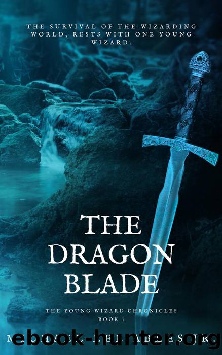 The Dragon Blade by Michael Lee Ables Jr