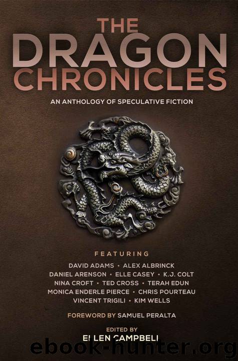 The Dragon Chronicles by unknow