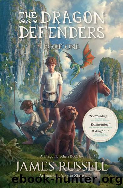 The Dragon Defenders: Book One by Russell James