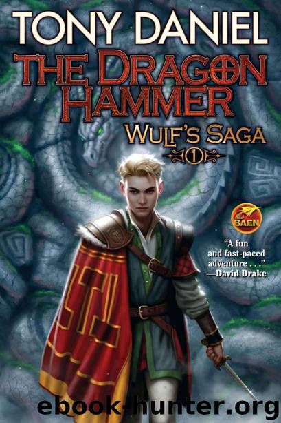 The Dragon Hammer (Wulf's Saga Book 1) by Tony Daniel