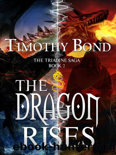 The Dragon Rises by Timothy Bond