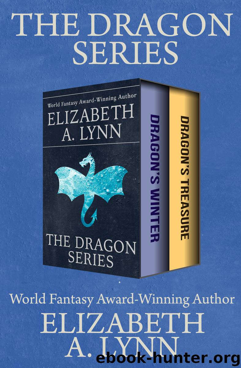 The Dragon Series by Elizabeth A. Lynn