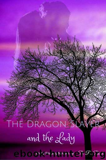 The Dragon Slayer and The Lady by D R Rosier