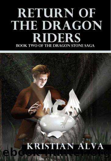 The Dragon Stone: Book 02 - Return of the Dragon Riders by Kristian Alva