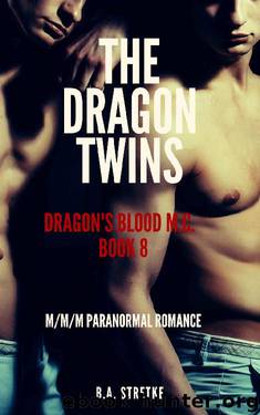 The Dragon Twins by B A Stretke