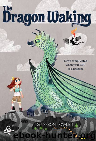 The Dragon Waking by Grayson Towler