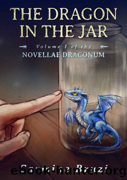 The Dragon in the Jar (Novellae Draconum) by Carmine Bruzi