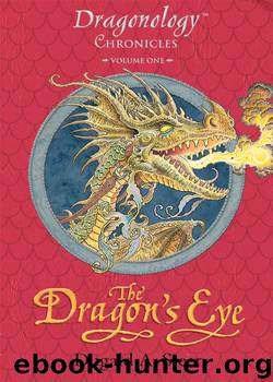 The Dragon's Eye by Dugald A. Steer