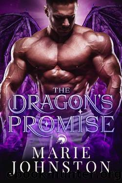 The Dragon's Promise (Silver Dragon Shifter Brothers Book 2) by Marie Johnston