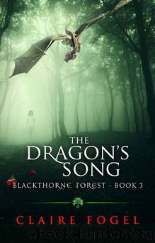 The Dragon's Song by Claire Fogel