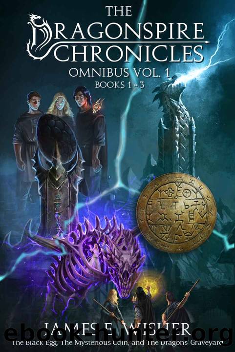 The Dragonspire Chronicles Omnibus Vol.1 (The Dragonspire Chronicles Omnibus Editions) by James E Wisher