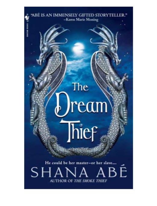 The Dream Thief by Shana Abé