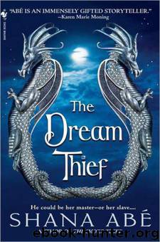 The Dream Thief by Shana Abe