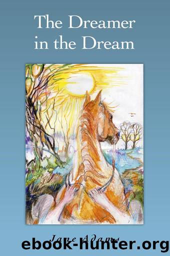 The Dreamer in the Dream by Jane Adams