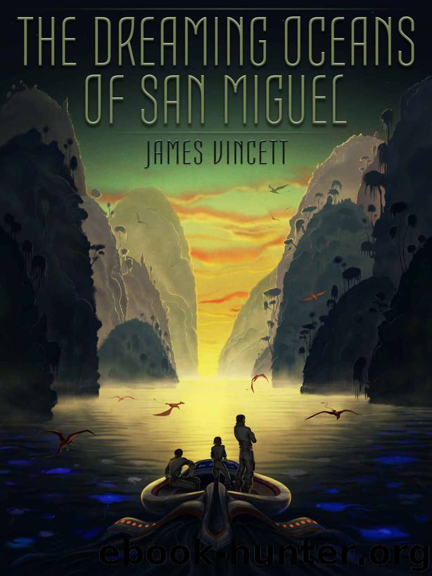 The Dreaming Oceans of San Miguel by James Vincett