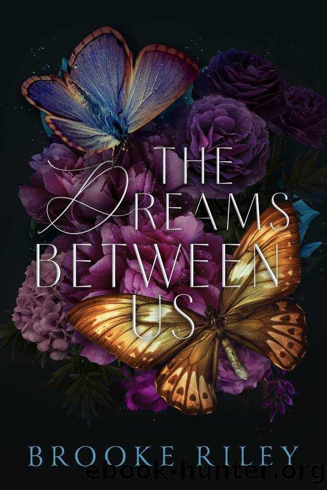The Dreams Between Us by Brooke Riley