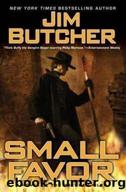 The Dresden Files - 10 - Small Favor by Jim Butcher