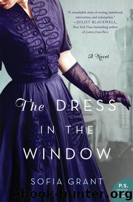 The Dress in the Window by Sofia Grant