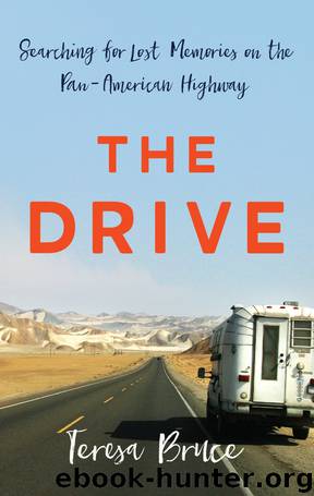 The Drive by Teresa Bruce