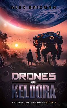 The Drones of Keldora: An Automation Crafting LitRPG Adventure (Factory of the Gods Book 5) by Alex Raizman