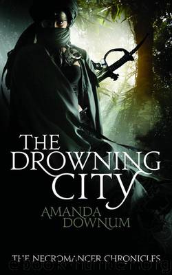 The Drowning City by Amanda Downum