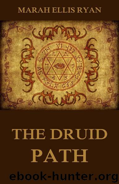 The Druid Path by Marah Ellis Ryan