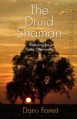The Druid Shaman by Danu Forest