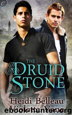 The Druid Stone by Heidi Belleau & Violetta Vane