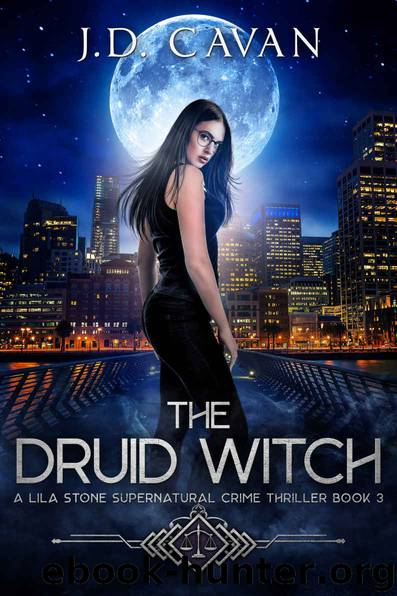 The Druid Witch by J D Cavan