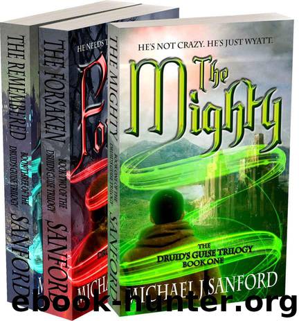 The Druid's Guise: The Complete Trilogy (The Druid's Guise Trilogy) by Michael J Sanford