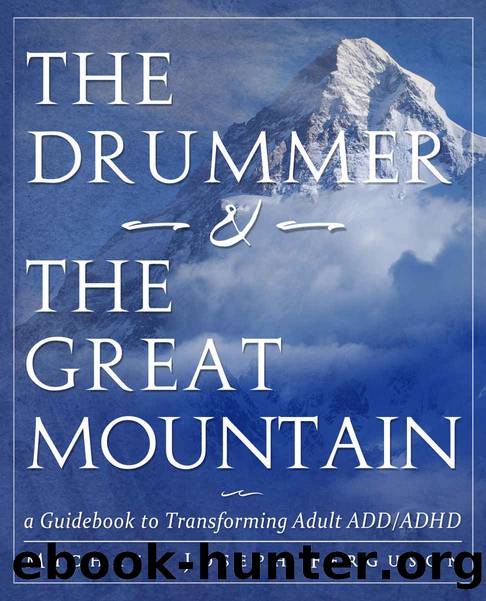 The Drummer and the Great Mountain - A Guidebook to Transforming Adult ADDADHD by Michael Joseph Ferguson