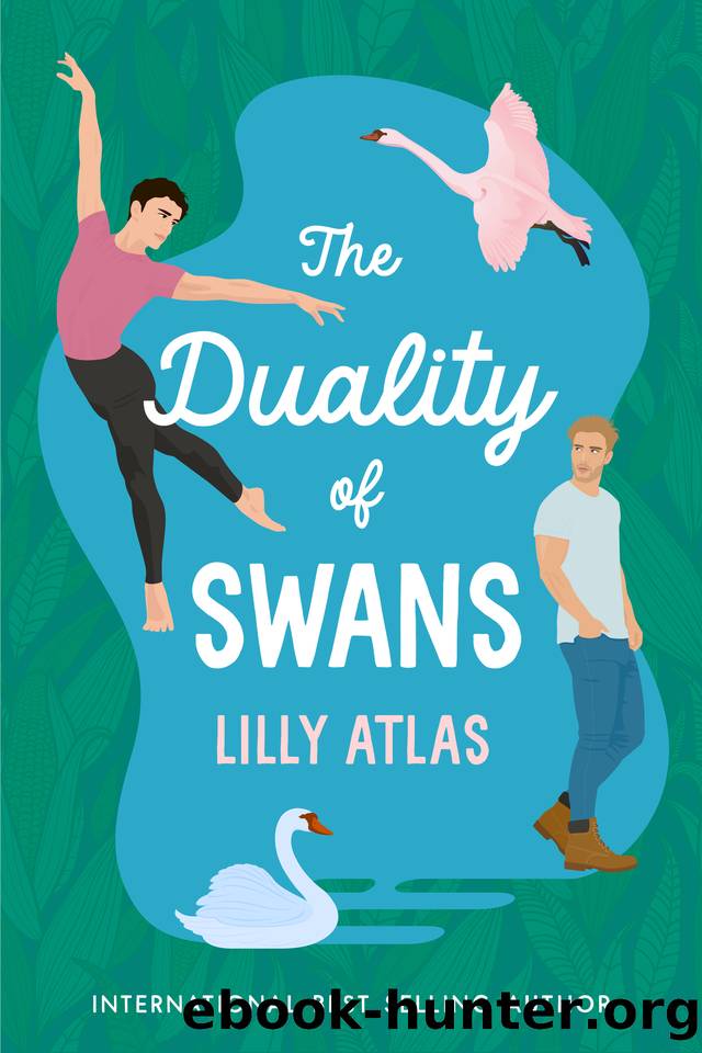 The Duality of Swans by Lilly Atlas