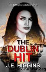 The Dublin Hit by J.E. Higgins