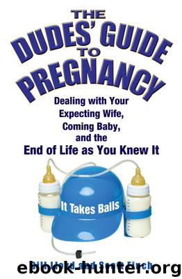 The Dudes' Guide to Pregnancy by Bill Lloyd & Scott Finch