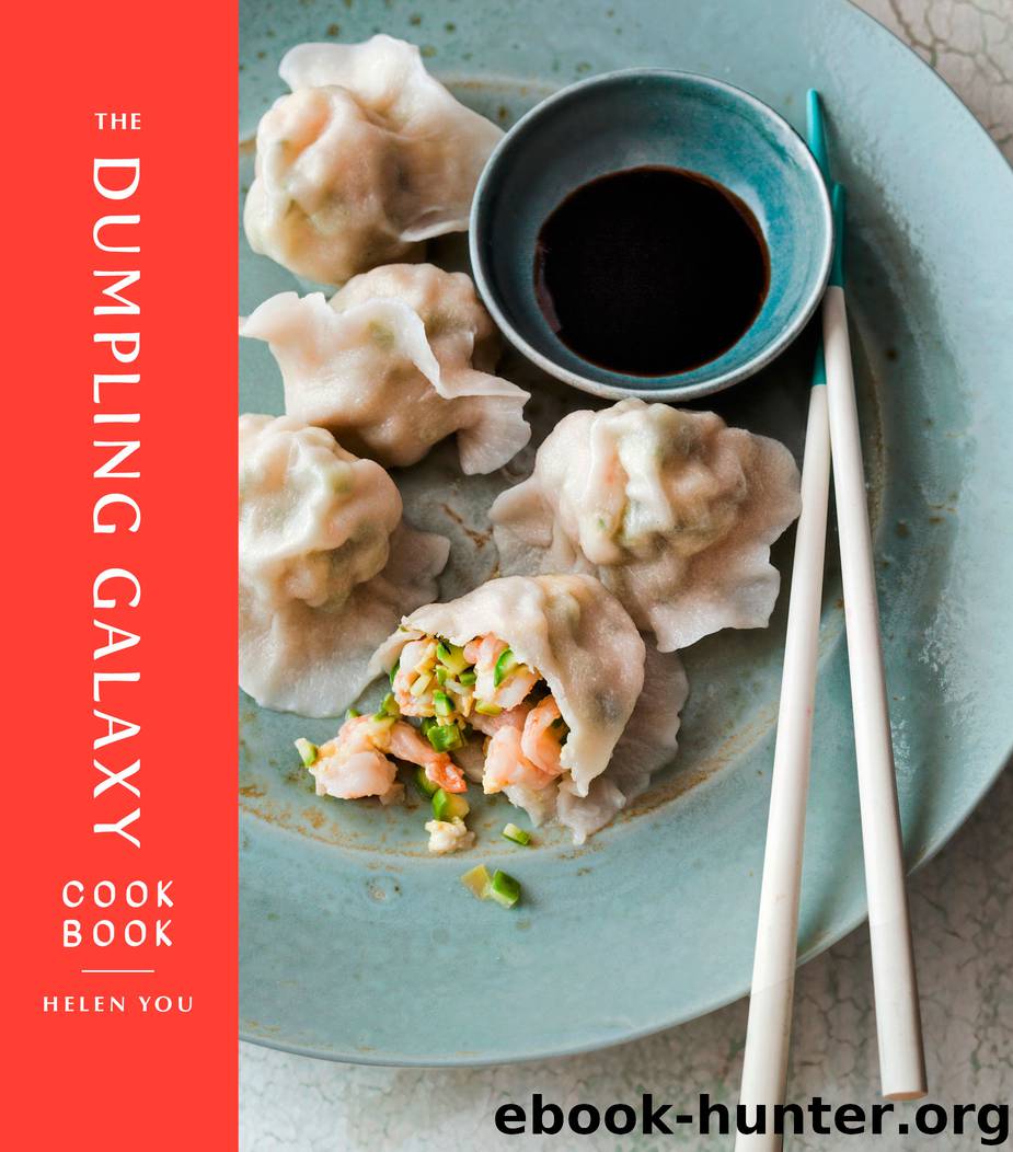 The Dumpling Galaxy Cookbook by Helen You