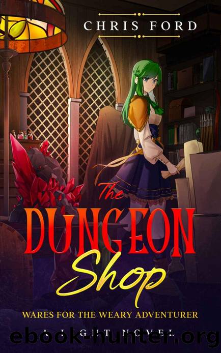 The Dungeon Shop: A Light Novel LitRPG Adventure by Chris Ford & Wolfe Locke