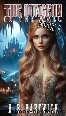 The Dungeon in the wall: Book 1 by B. B. Hartwich